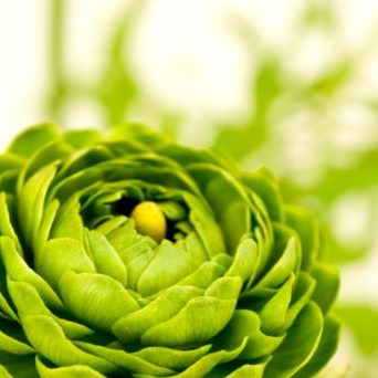 ギャラリーのイメージ